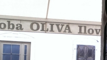 Oliva!